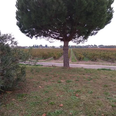 Homestay Peniche Farniente Climatisee Region Touristique Aux Portes De La Camargue