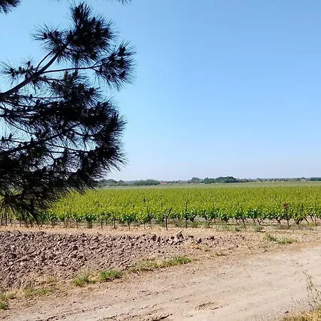 Homestay Peniche Farniente Climatisee Region Touristique Aux Portes De La Camargue *