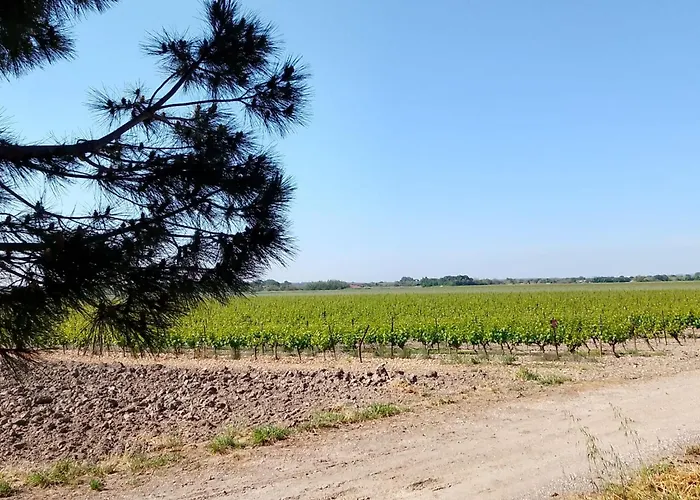 Homestay Peniche Farniente Climatisee - Aux Portes De La Camargue *
