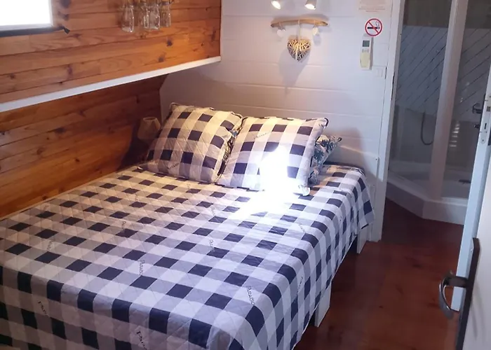 Peniche Farniente Climatisee - Aux Portes De La Camargue Homestay