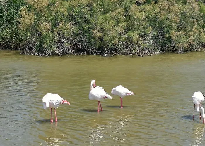 Peniche Farniente Climatisee - Aux Portes De La Camargue * Bellegarde (Gard)